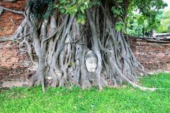 Ayutthaya