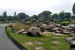 Rama IX Park