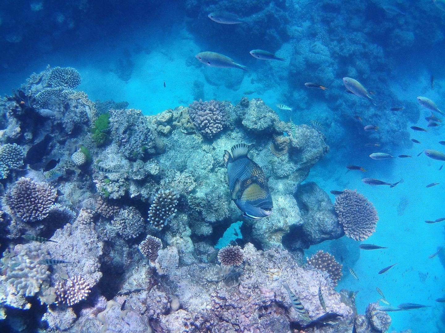 Great Barrier Reef