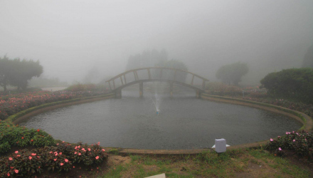 Doi-Inthanon-8