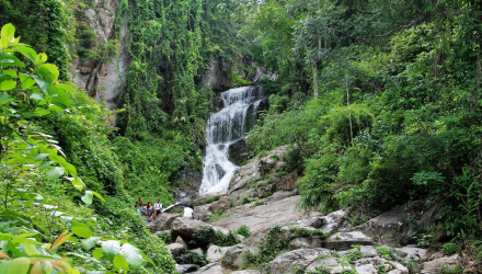 Doi-Suthep-8