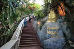Golden-Mount-Bangkok: stairs to the top