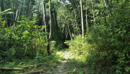 Kalim-Viewpoint-4