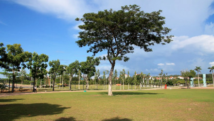 Coco-Cabana-Miri-4