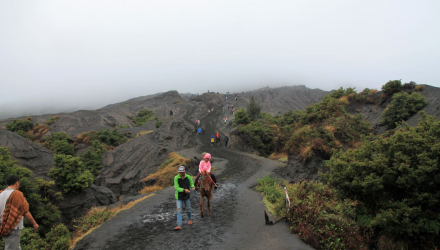A-Bromo-I-7
