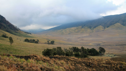 Bromo-I-11