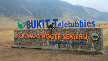 Bromo-I-12