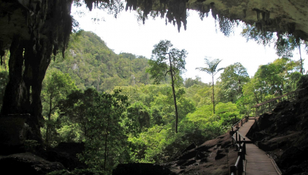Niah-Caves-7