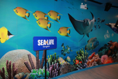 SeaLife-Bangkok