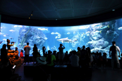 SeaLife-Bangkok