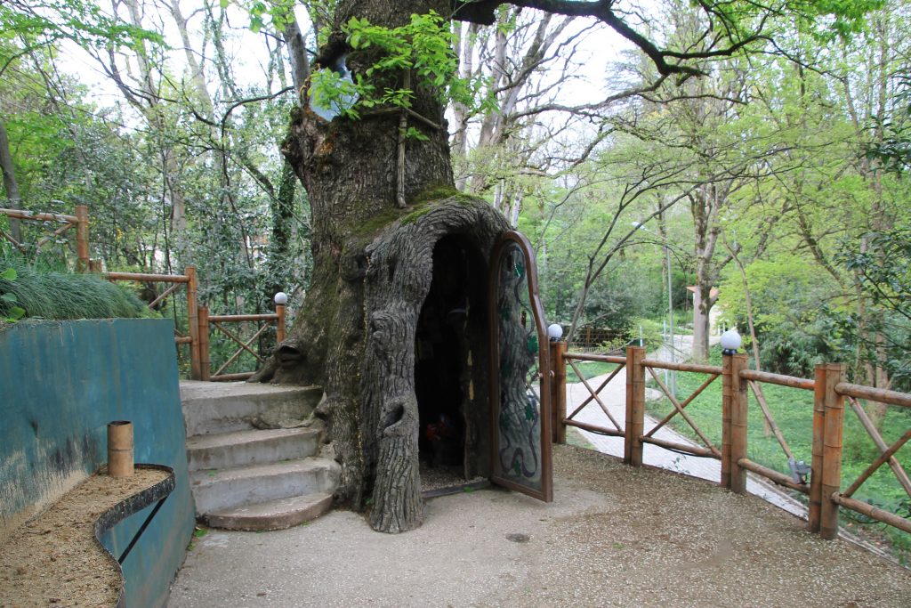 Tree Trunk in Botanical Garden