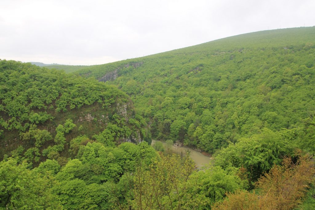 Motsameter Monastery View