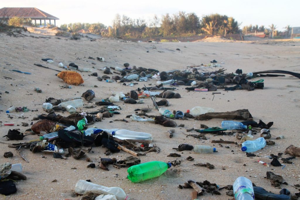 Waste Less in Arugam Bay