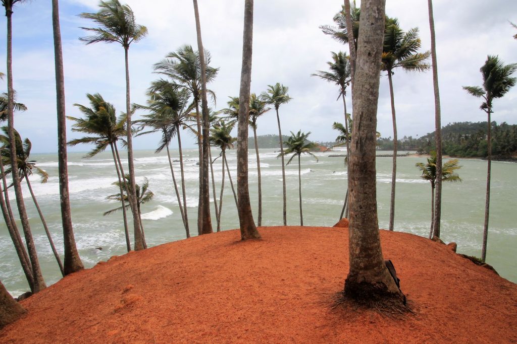 Coconut Tree Hill Mirissa