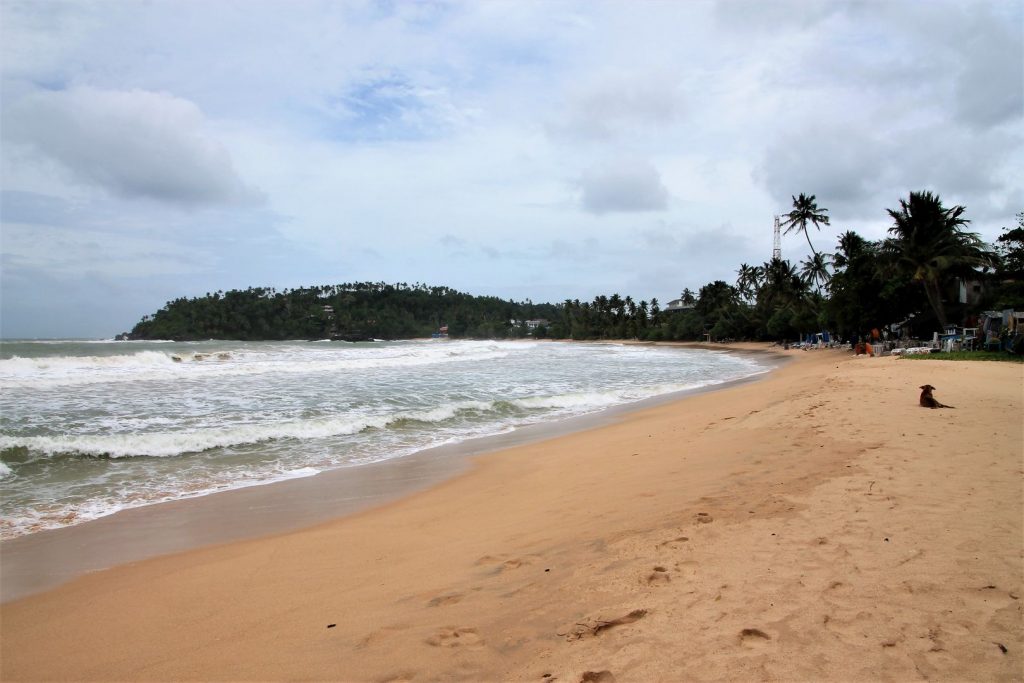 Mirissa Beach