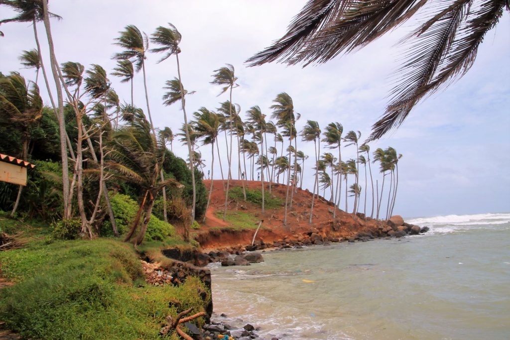 Coconut Tree Hill Mirissa