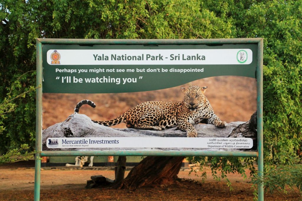 Yala National Park