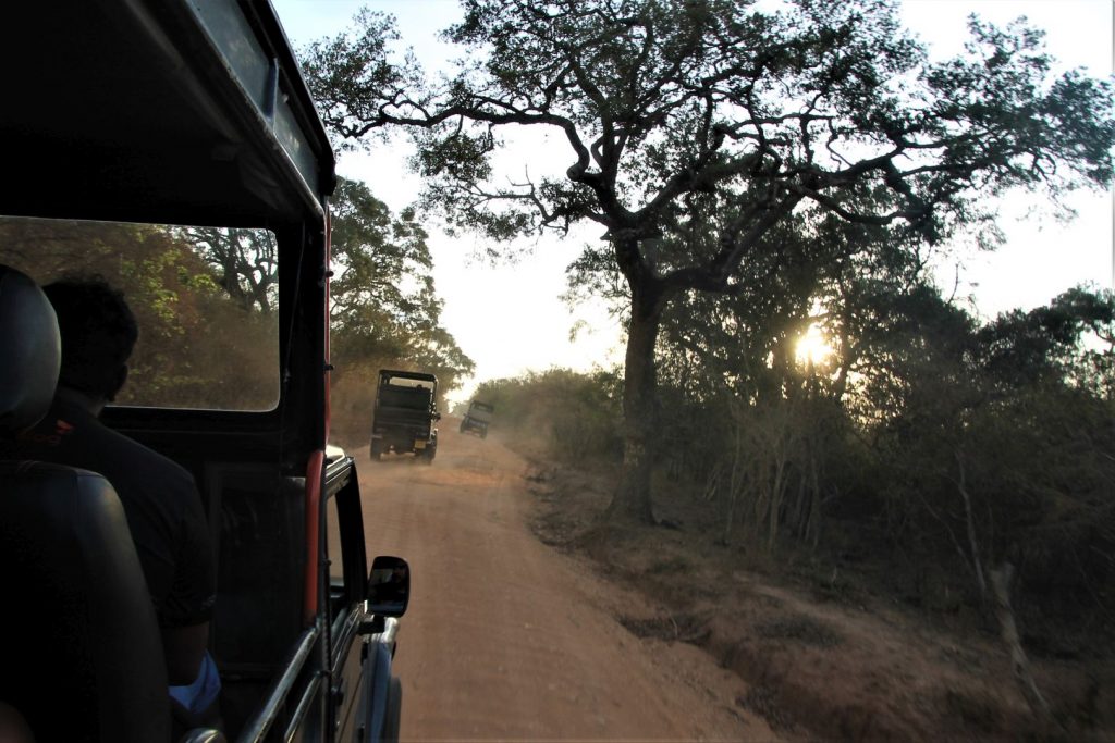 Yala National Park