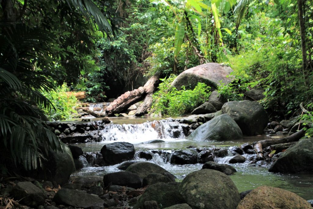 Kathu Waterfall