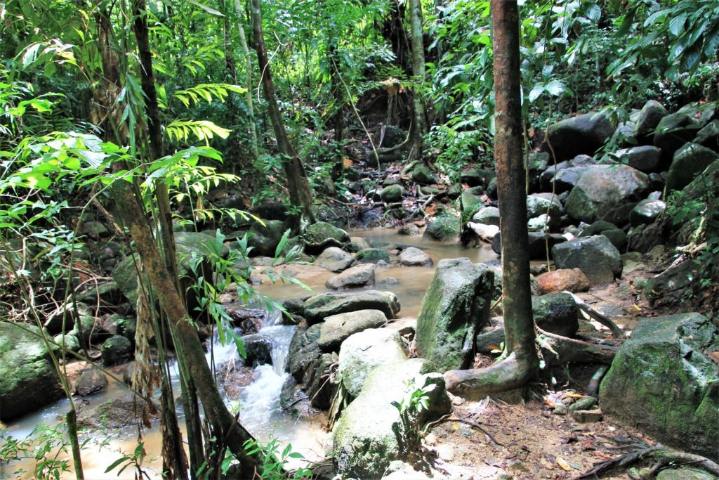 Kathu Waterfall