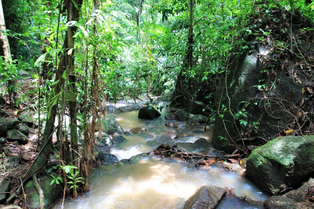 Kathu Waterfall