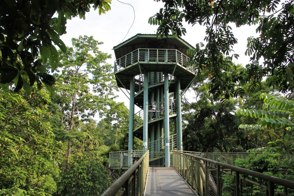 Rainforest Discovery Center