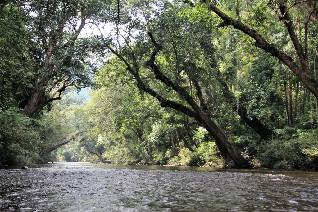 Taman Negara National Park