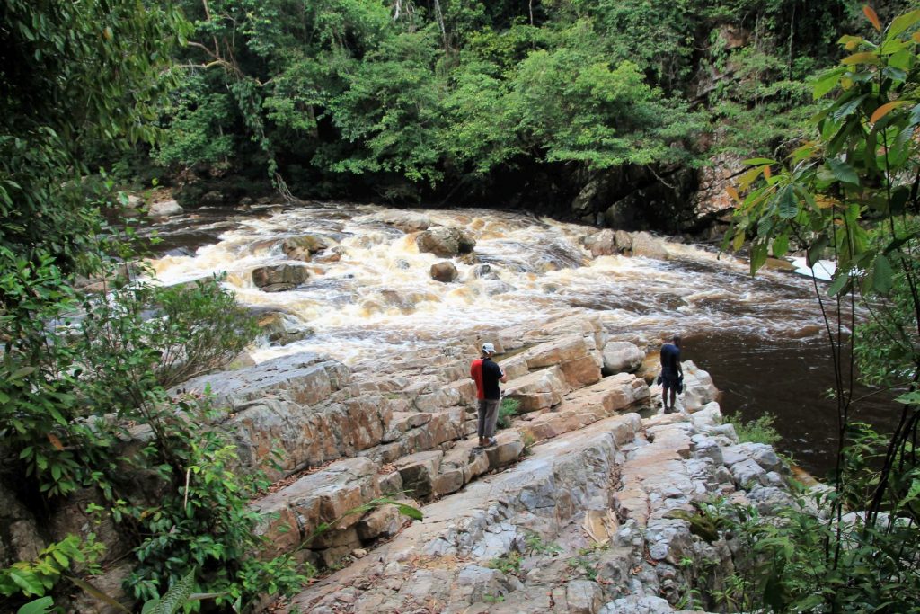 Taman Negara National Park