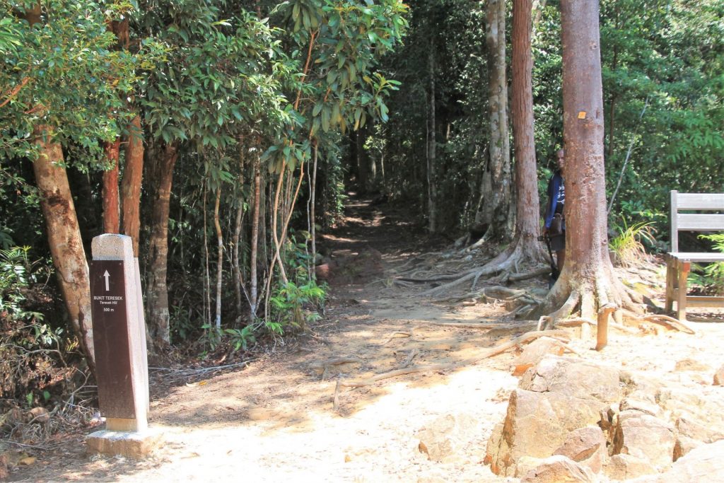 Taman Negara National Park