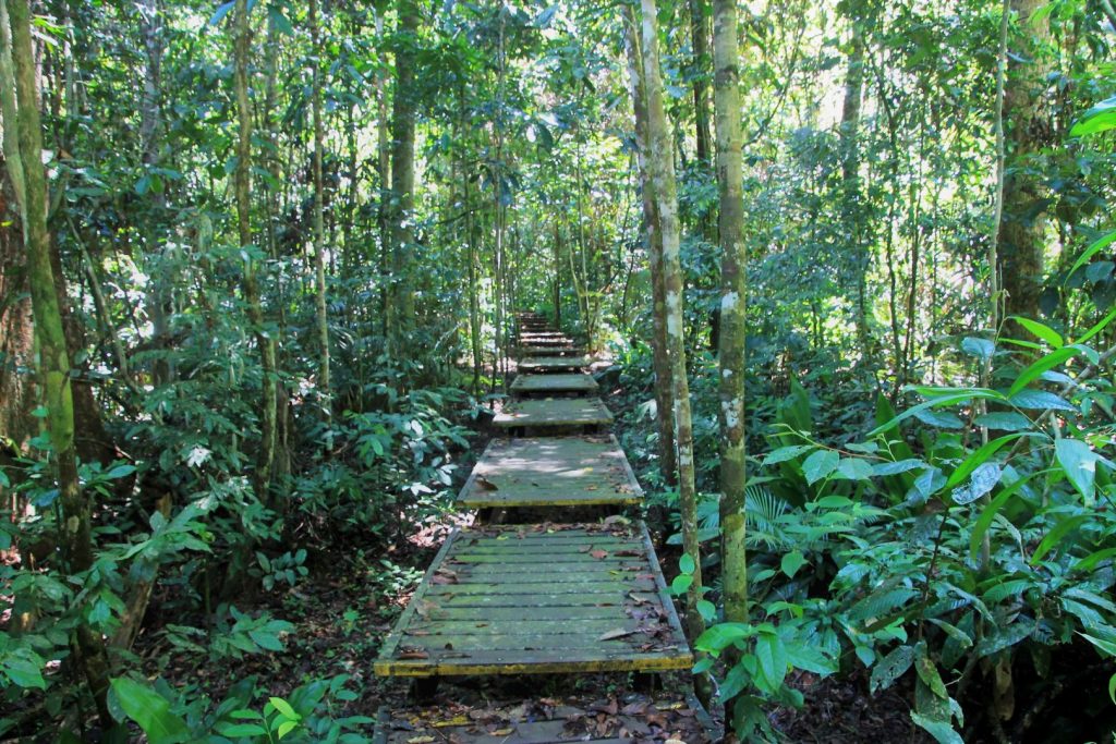 Taman Negara National Park