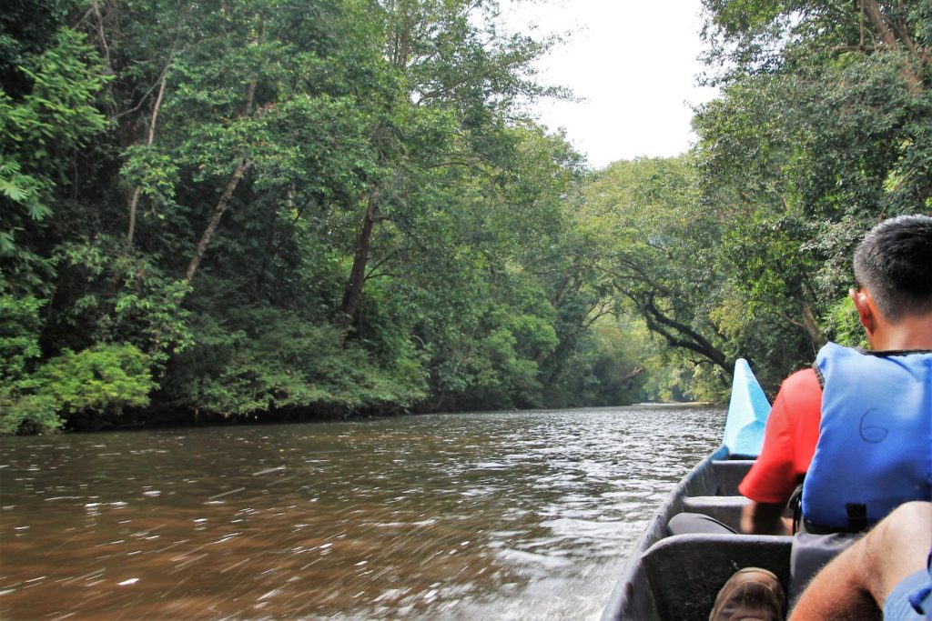 Taman Negara National Park