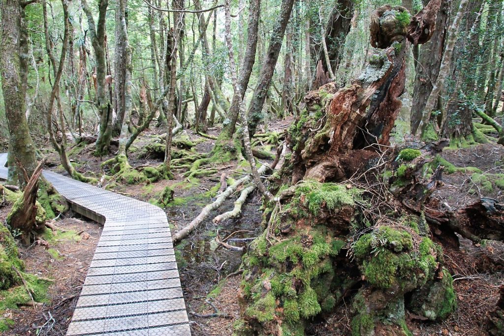 Cradle Mountain