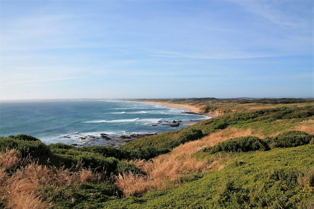 Pinnacles Lookout