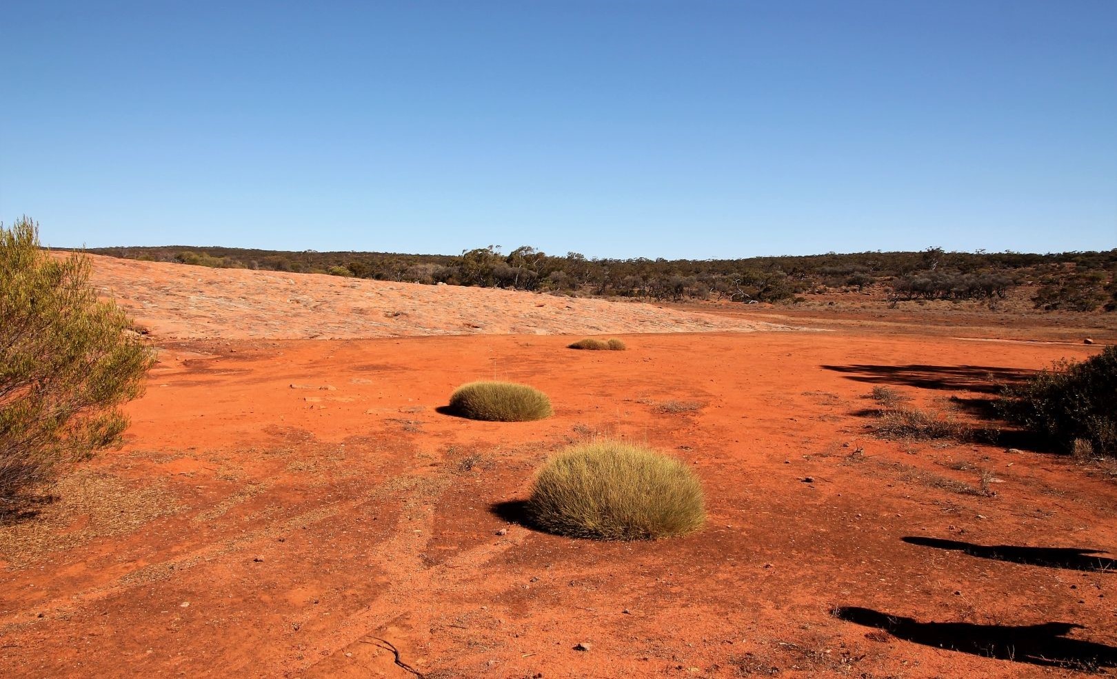 Hiltaba Outback